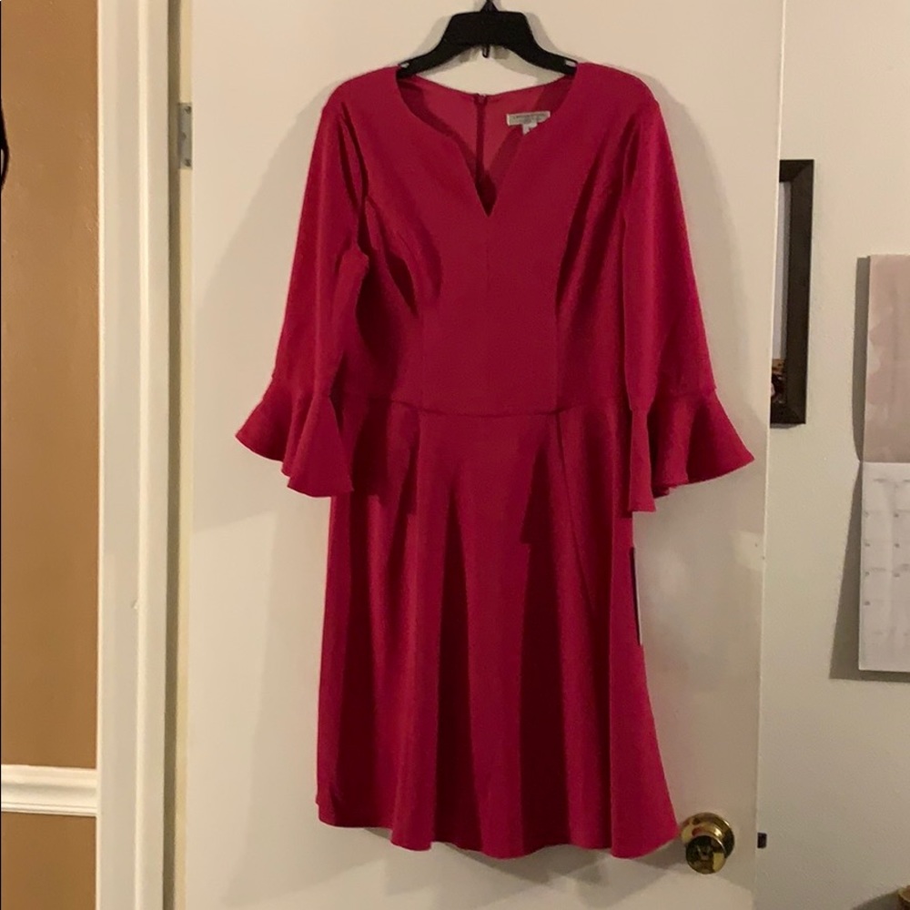 Fuchsia Dress